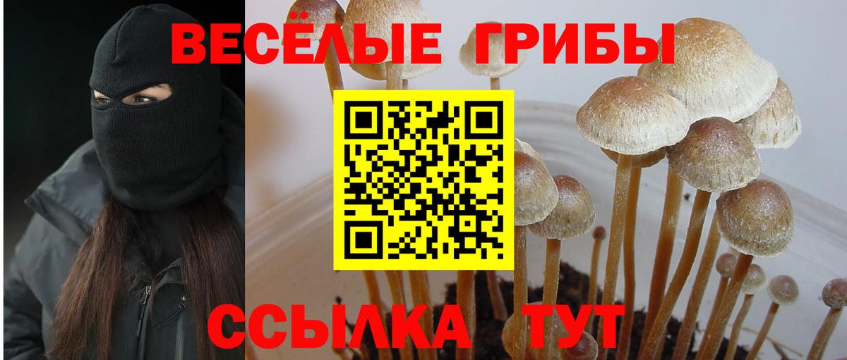 Галлюциногенные грибы Cubensis  Псилоцибиновые грибы мухоморы  Вход с VPN  Рославль 